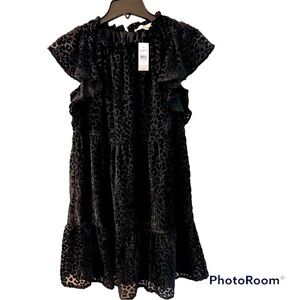 𝅺loft Dress: Black Leopard Print Velvet Swing Dress XS NWT